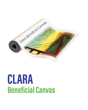 Load image into Gallery viewer, SIHL - Clara Beneficial Canvas