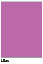 Load image into Gallery viewer, Vanguard Board Weight (300 mics)